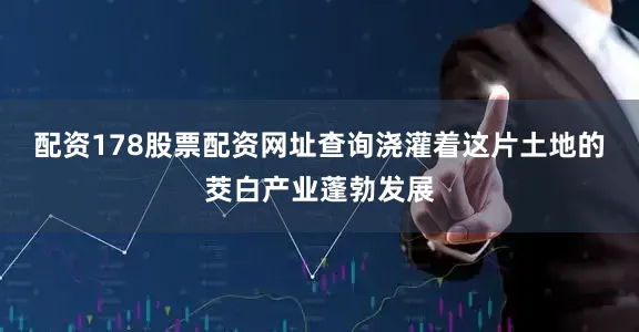 配资178股票配资网址查询浇灌着这片土地的茭白产业蓬勃发展