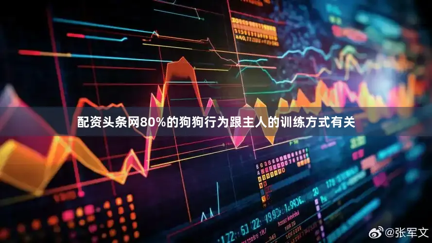 配资头条网80%的狗狗行为跟主人的训练方式有关