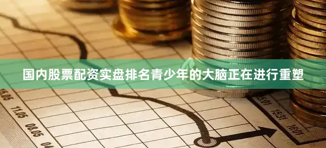 国内股票配资实盘排名青少年的大脑正在进行重塑