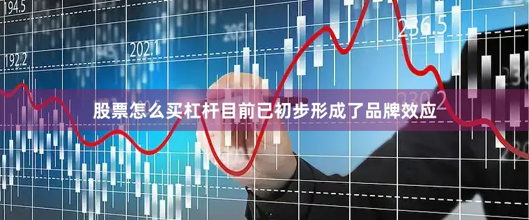 股票怎么买杠杆目前已初步形成了品牌效应