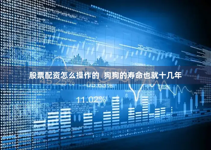 股票配资怎么操作的  狗狗的寿命也就十几年