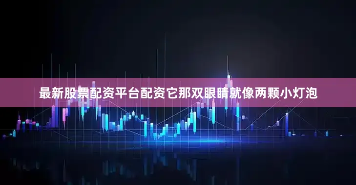 最新股票配资平台配资它那双眼睛就像两颗小灯泡