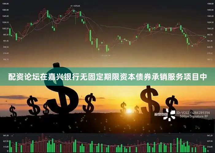 配资论坛在嘉兴银行无固定期限资本债券承销服务项目中
