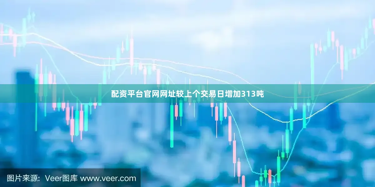 配资平台官网网址较上个交易日增加313吨
